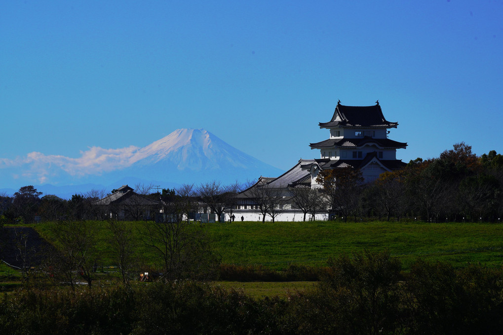 富士山と関宿城博物館