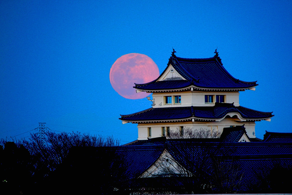 満月の出と関宿城博物館