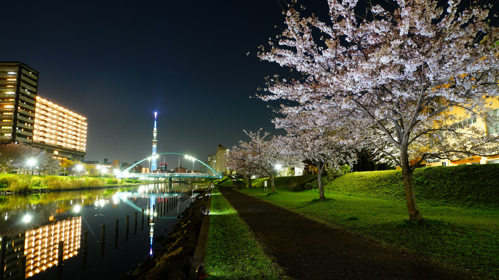 夜桜ふれあい橋