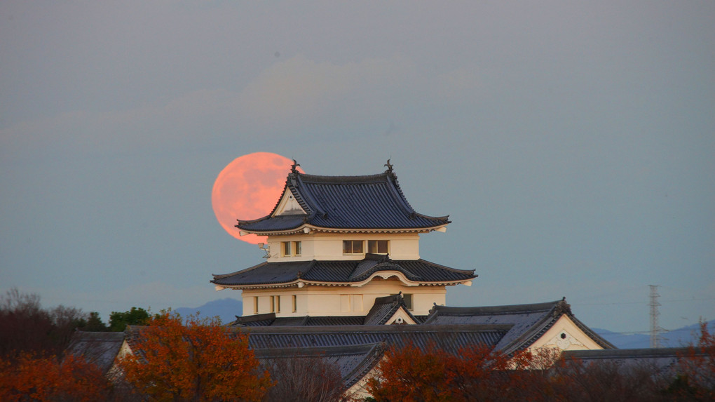 関宿城博物館月の出