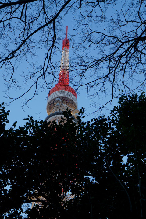 東京タワーが見えた。
