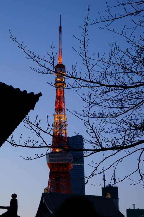 東京タワーが見えた。
