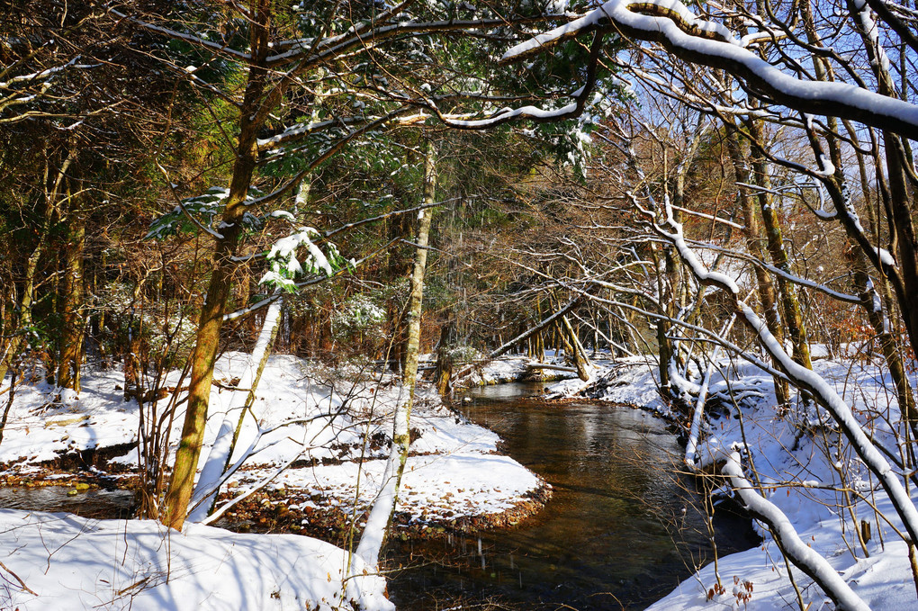 冬景色撮影会　男池付近