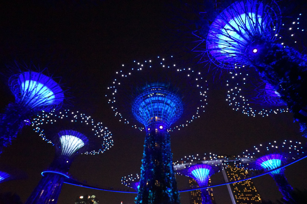 シンガポール、ガーデンズ・バイ・ザ・ベイの夜景