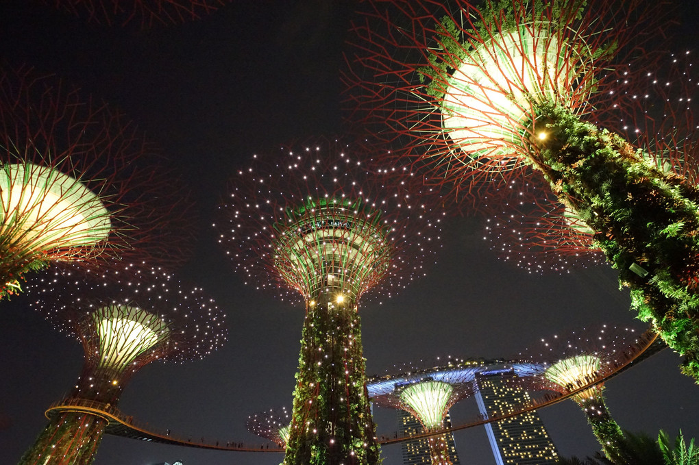 シンガポール、ガーデンズ・バイ・ザ・ベイの夜景
