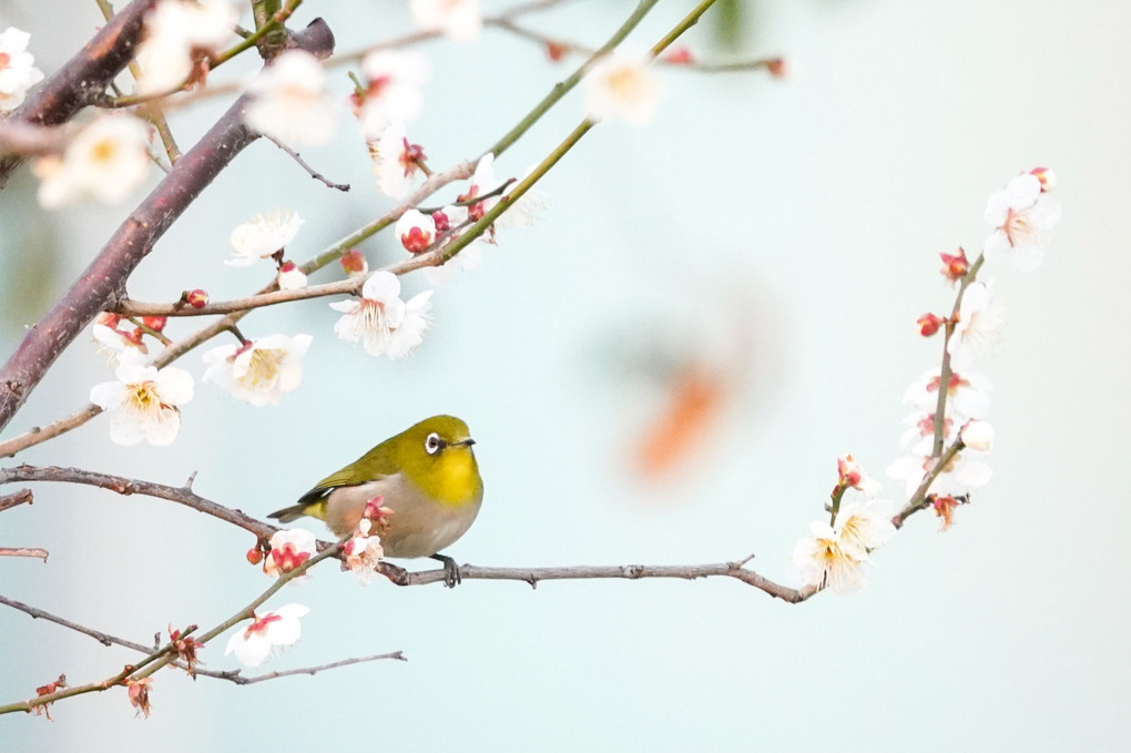 春の予感