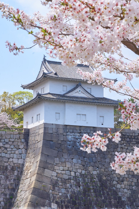 大阪城公園・桜の宮の桜