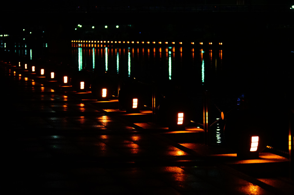 雨上がりの環水公園