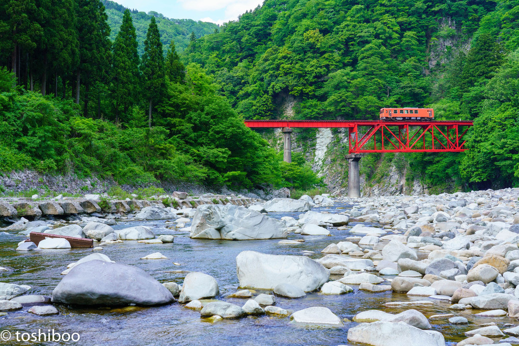 九頭竜川の風