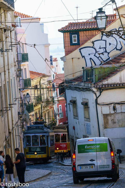 ALFAMA