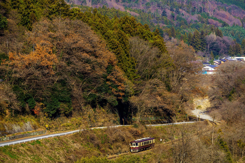 晩秋里山