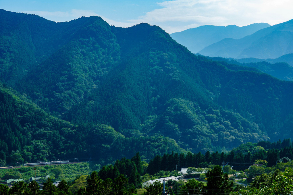 奥武蔵の山々