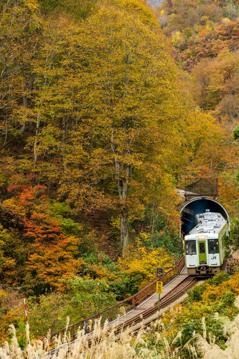 トンネルを抜けると、そこは秋だった