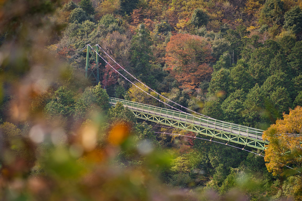 紅葉の中の吊橋