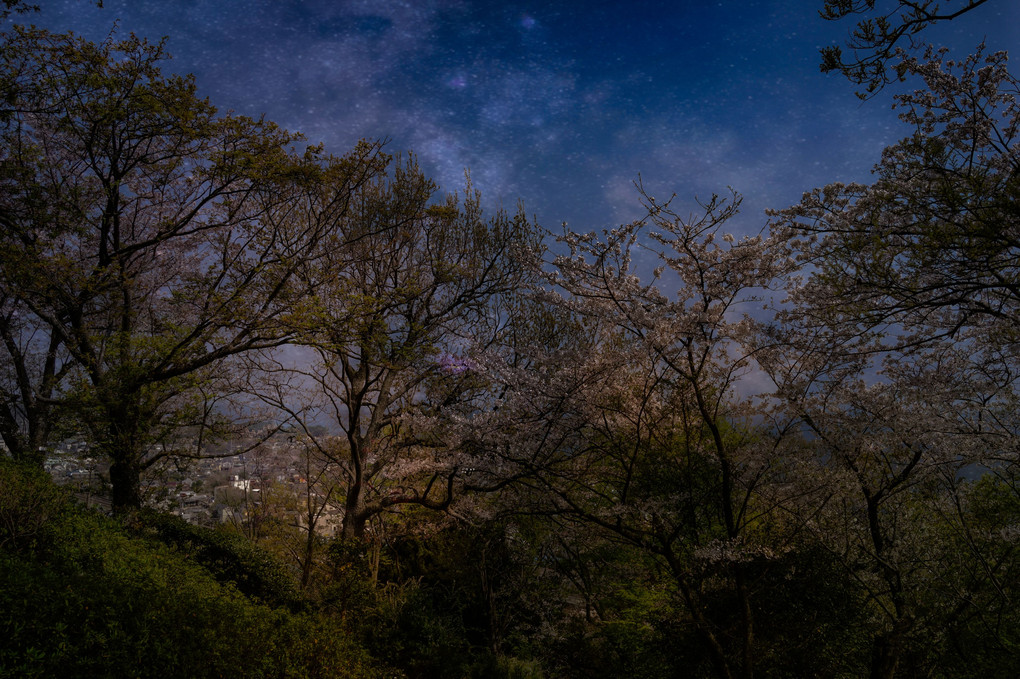 吾妻山公園