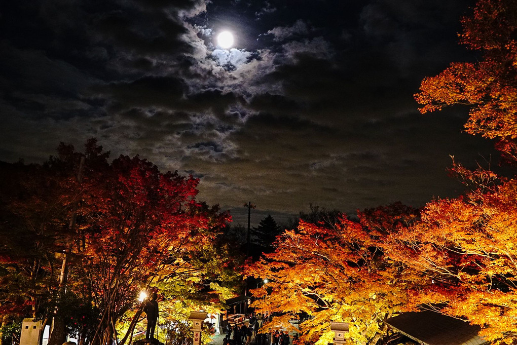 大山 阿夫利神社