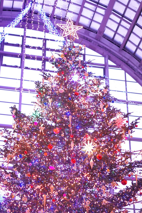 サッポロファクトリー巨大クリスマスツリー