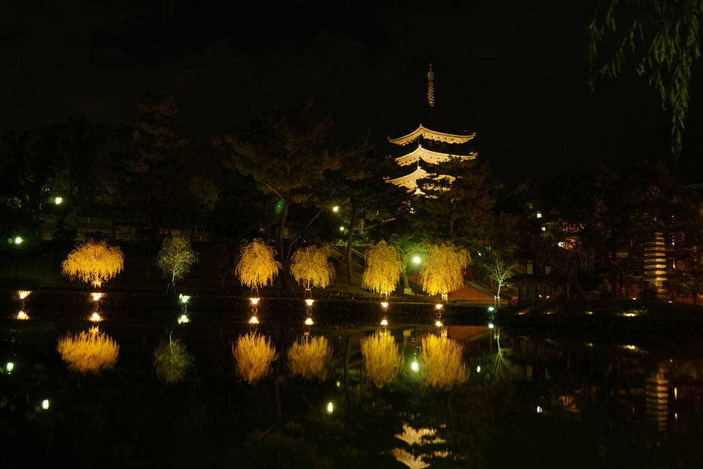 奈良、東大寺近辺。