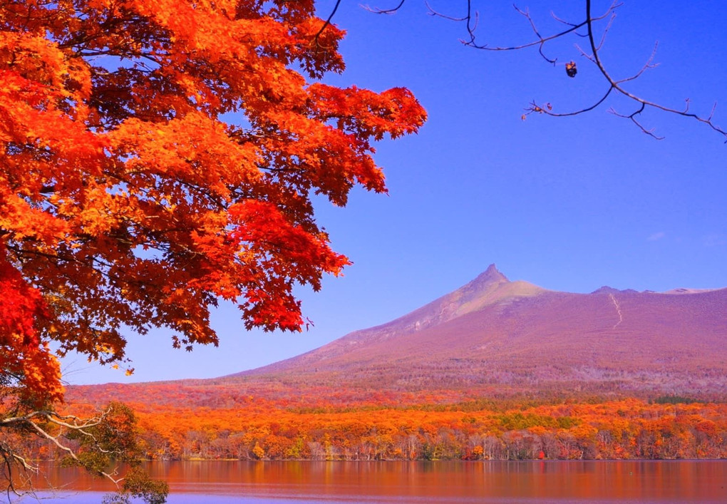 快晴の北海道はほぼ初でした😂