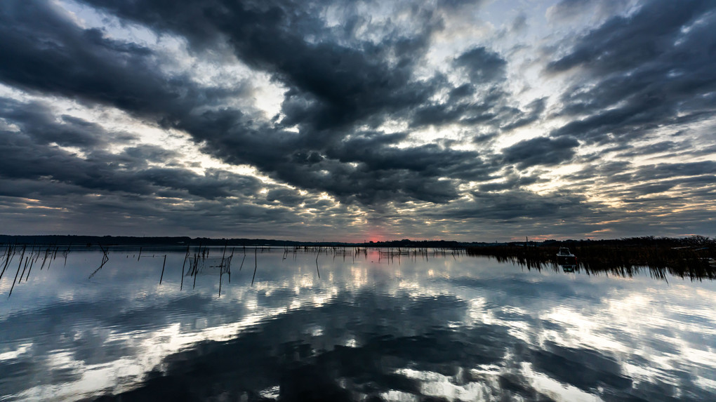 夜明け前の印旛沼
