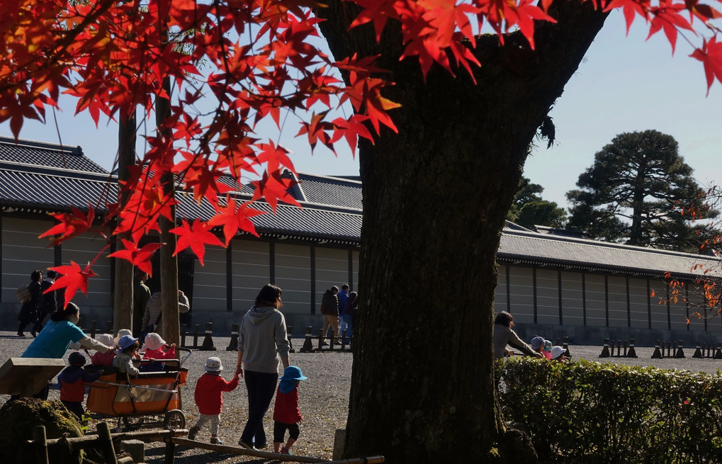 京都御所と周辺の秋