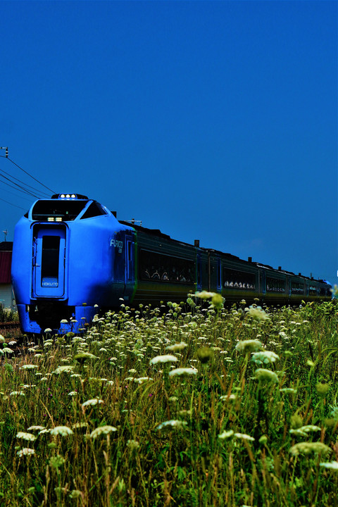 281系　心に残る車両（今年９月に引退）