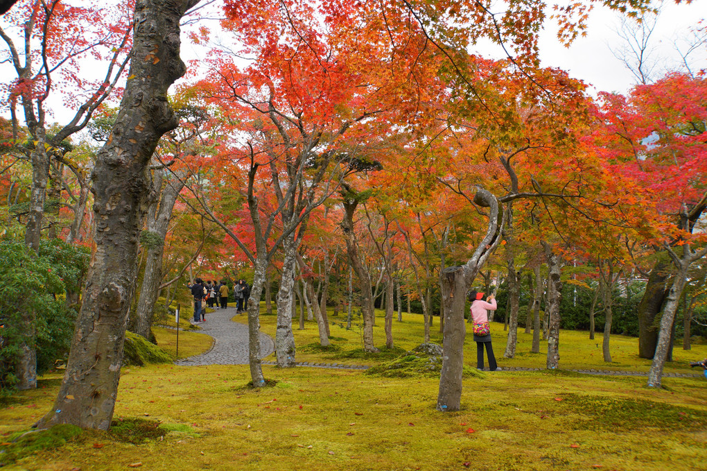 箱根美術館庭園の秋彩