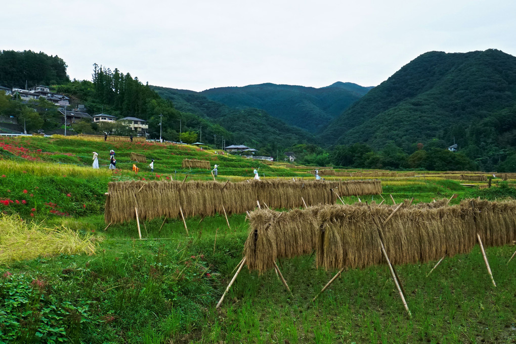 里山の秋