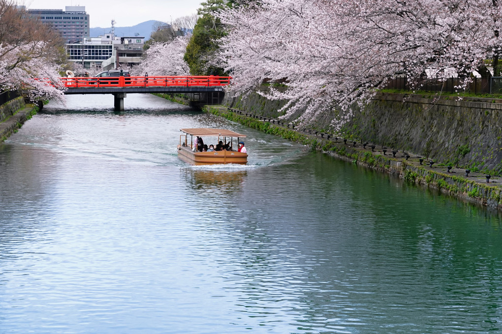 京都・インクラインと疎水十石船