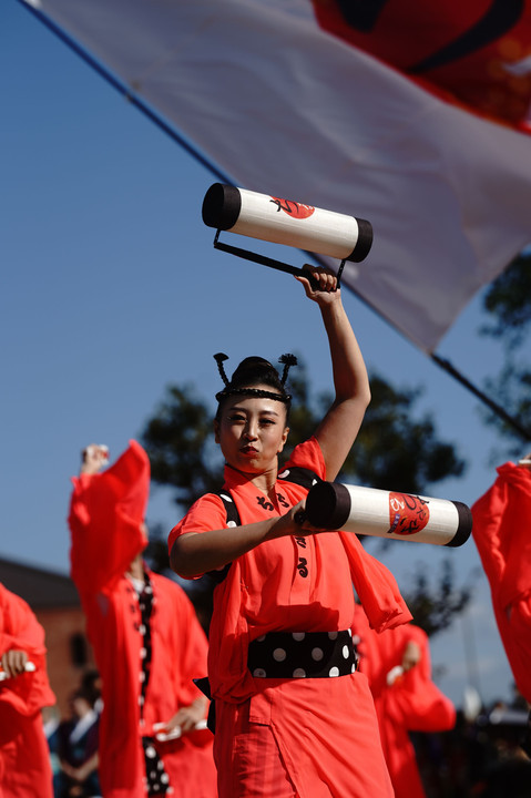 横浜よさこい2023 新港中央公園