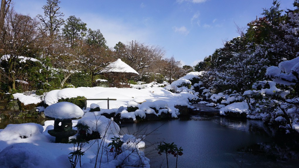 京都 退蔵院庭園 雪景色