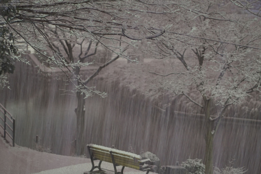 深夜の雪