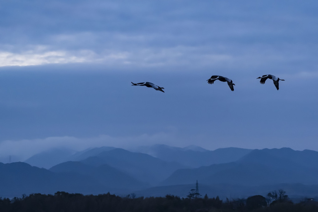 夕暮れの舞