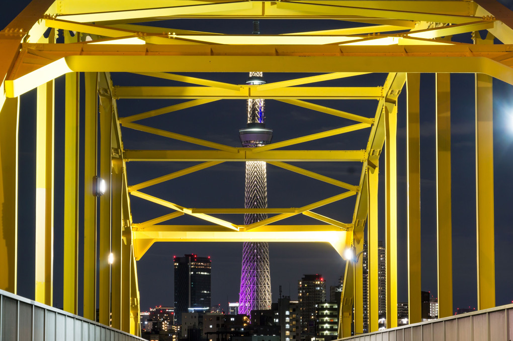 東京スカイツリーと橋