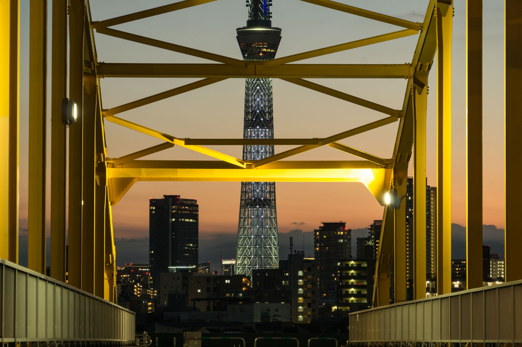 東京スカイツリーと橋