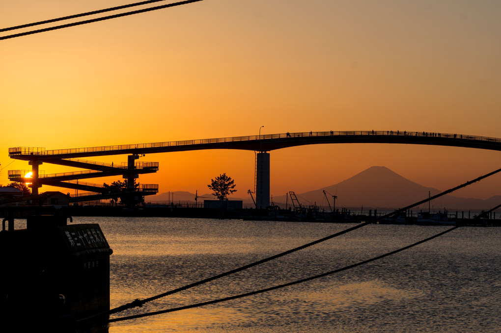 中の島大橋と富士山