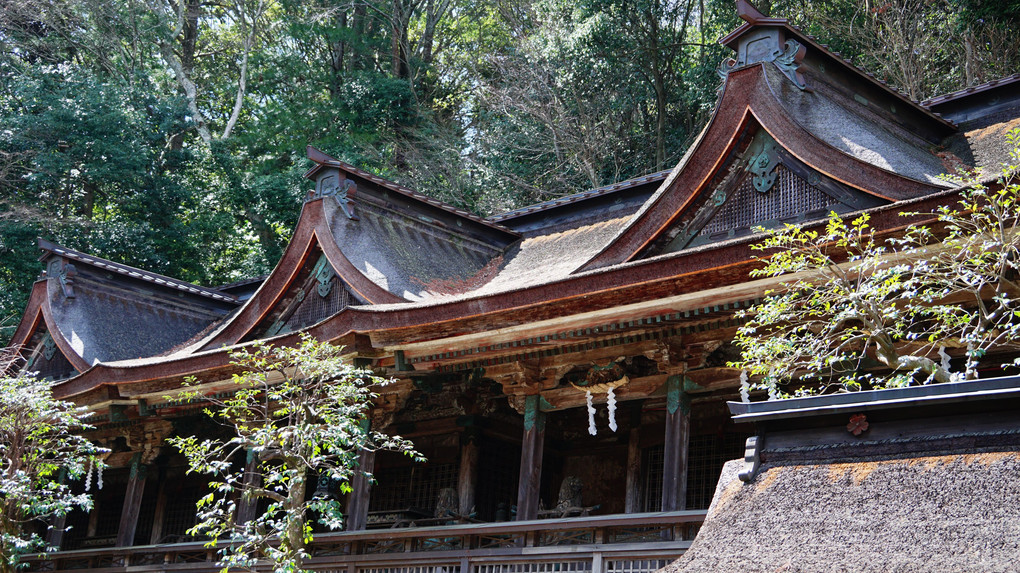 奈良吉野山Ⅱ