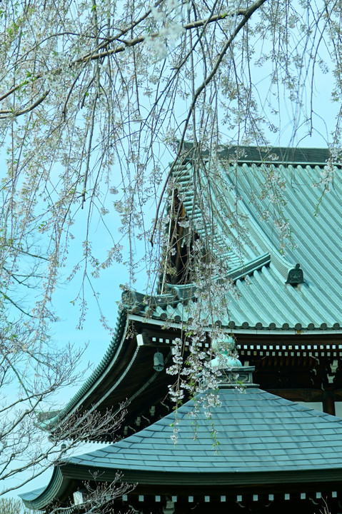 春の寺