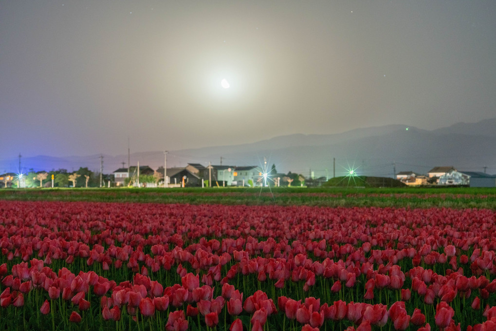 夜の模様