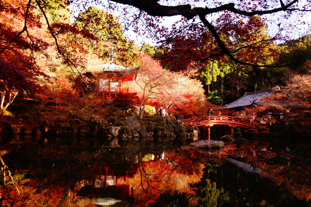 秋の醍醐寺