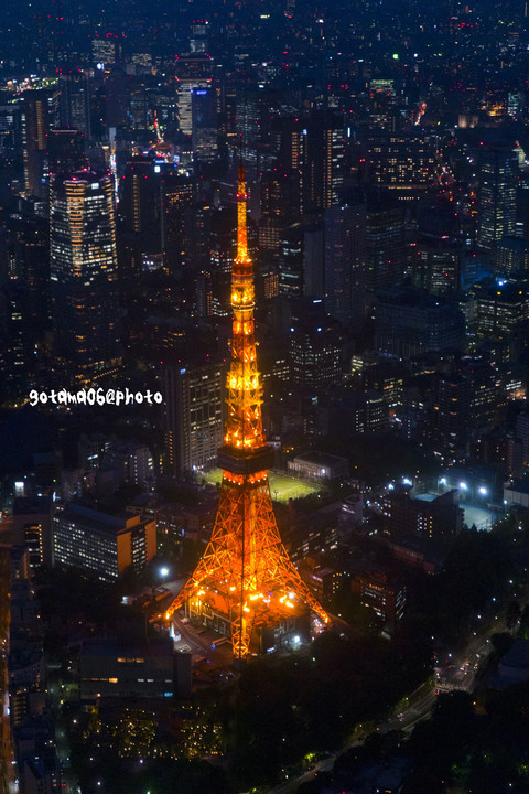 東京タワー、上から撮るか？下から撮るか？