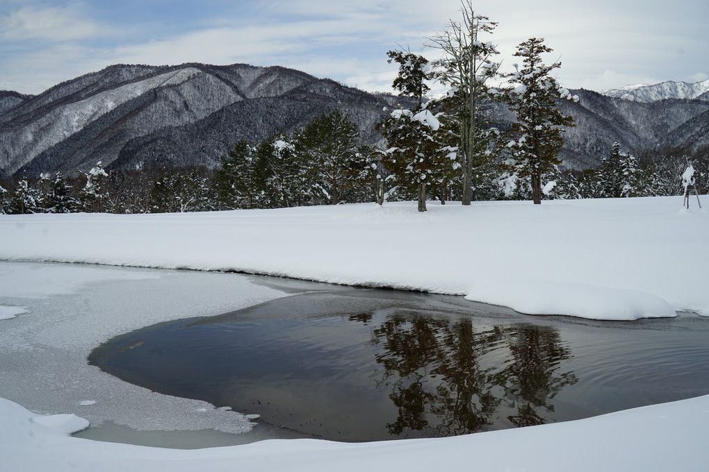 雪景色