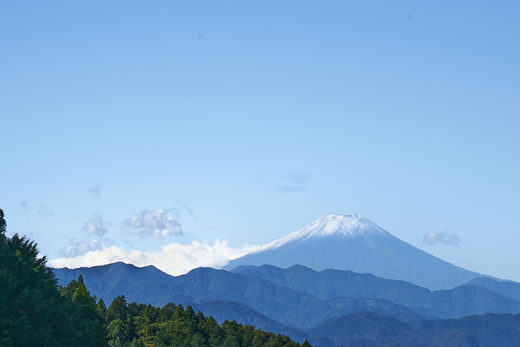 和田峠、山中湖からの富士