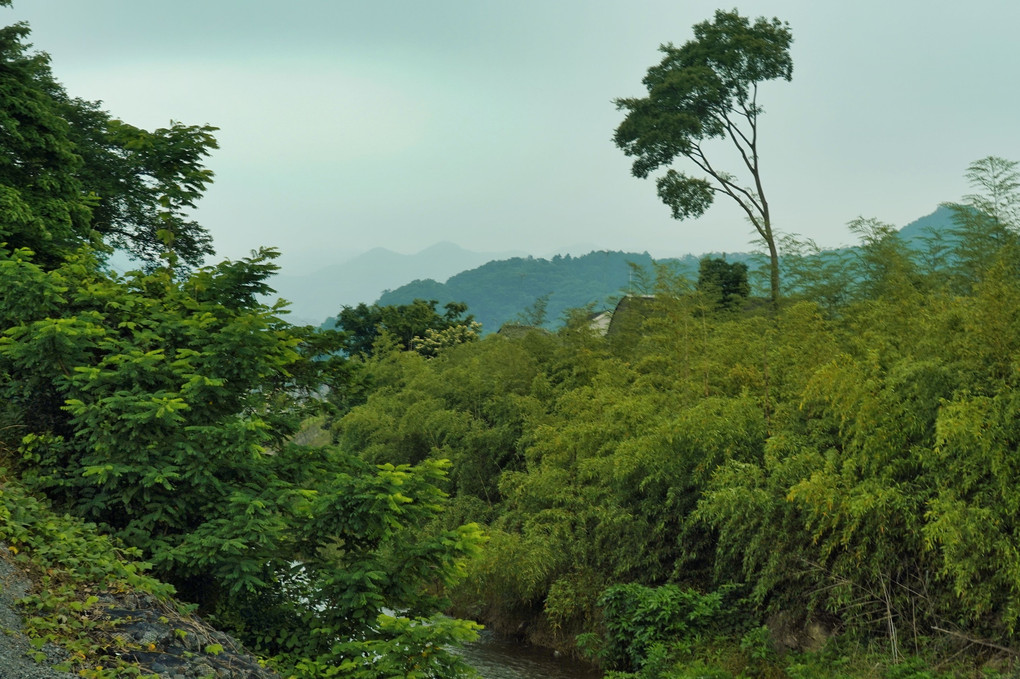 川のある風景