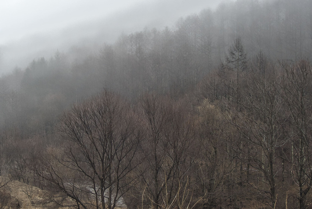 霧中の風景