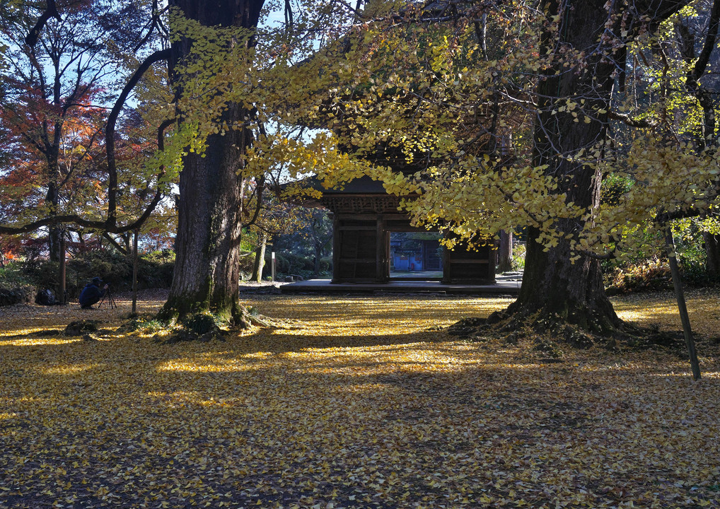 秋の広徳寺