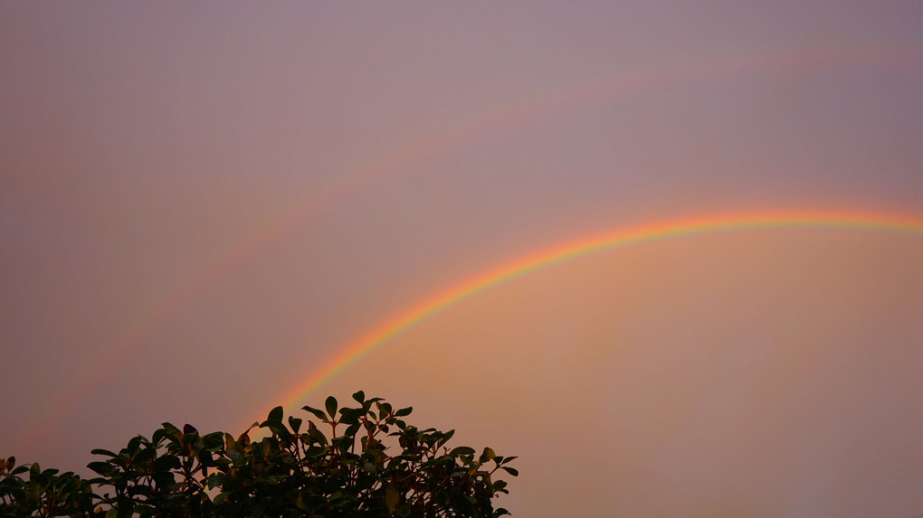 夕刻の双虹。