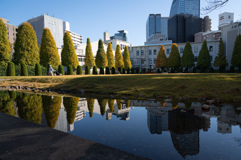 都会のオアシス🍂