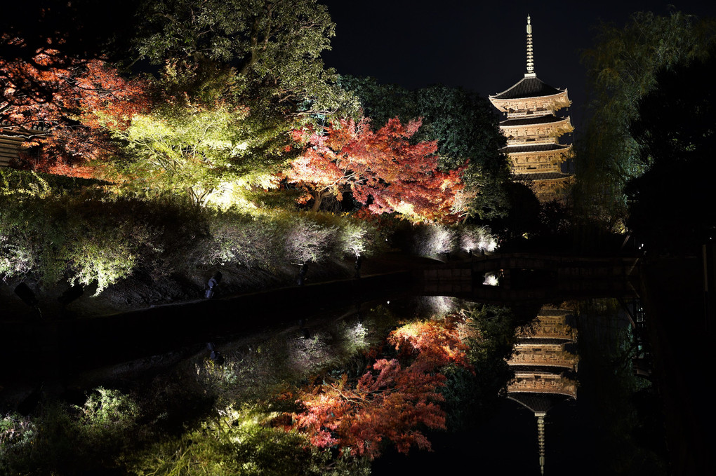 秋夜の東寺