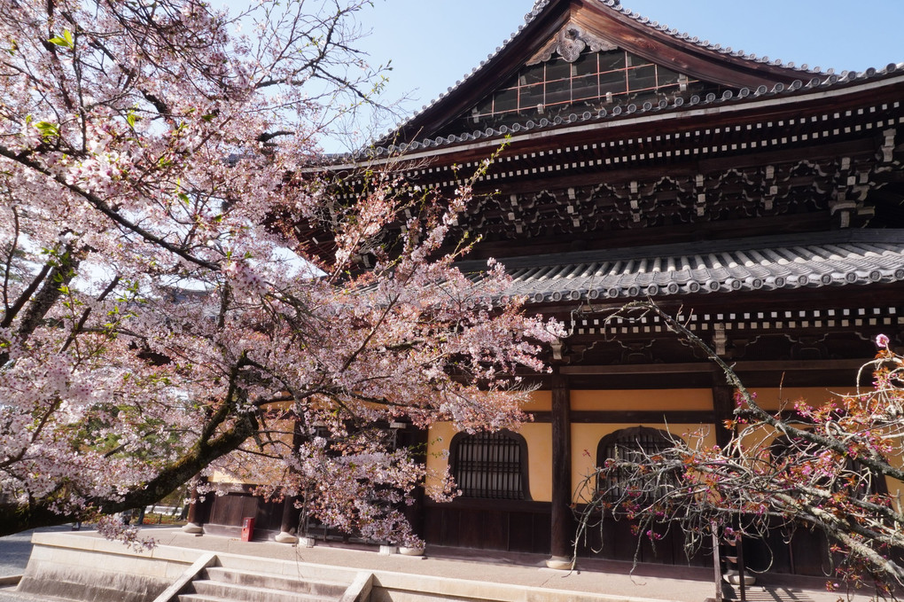 春の南禅寺